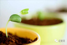 初创企业该怎样进行商标保护